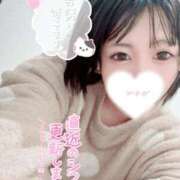 ヒメ日記 2025/04/01 14:29 投稿 みゅらー サティアンまーと