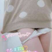 ヒメ日記 2025/04/14 15:49 投稿 みゅらー サティアンまーと