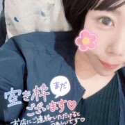 ヒメ日記 2025/04/16 17:29 投稿 みゅらー サティアンまーと