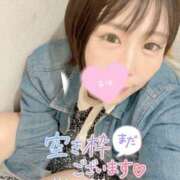 ヒメ日記 2025/04/29 17:09 投稿 みゅらー サティアンまーと