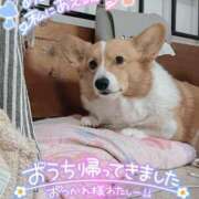 ヒメ日記 2025/05/27 00:19 投稿 みゅらー サティアンまーと