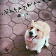 ヒメ日記 2025/05/28 00:49 投稿 みゅらー サティアンまーと