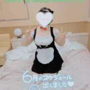 ヒメ日記 2025/05/30 15:19 投稿 みゅらー サティアンまーと