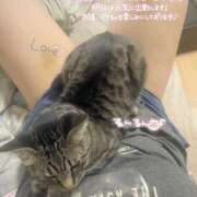 ヒメ日記 2025/05/31 15:21 投稿 みゅらー サティアンまーと