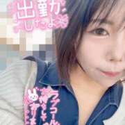 ヒメ日記 2025/06/01 10:59 投稿 みゅらー サティアンまーと