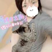 ヒメ日記 2025/06/06 23:49 投稿 みゅらー サティアンまーと