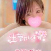 ヒメ日記 2025/06/17 07:40 投稿 みゅらー サティアンまーと