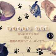 ヒメ日記 2025/06/19 16:19 投稿 みゅらー サティアンまーと