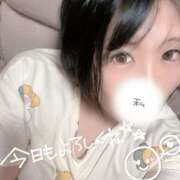 ヒメ日記 2025/06/20 07:39 投稿 みゅらー サティアンまーと