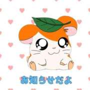 ヒメ日記 2025/06/20 16:19 投稿 みゅらー サティアンまーと