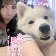 ヒメ日記 2025/06/23 23:19 投稿 みゅらー サティアンまーと