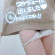 ヒメ日記 2025/07/23 15:29 投稿 みゅらー サティアンまーと