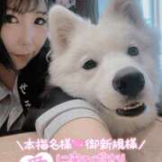 ヒメ日記 2025/07/23 16:59 投稿 みゅらー サティアンまーと