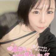 ヒメ日記 2025/07/30 14:09 投稿 みゅらー サティアンまーと