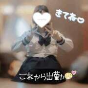 ヒメ日記 2025/07/31 07:29 投稿 みゅらー サティアンまーと