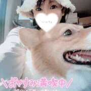 ヒメ日記 2025/09/06 09:29 投稿 みゅらー サティアンまーと