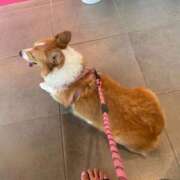 ヒメ日記 2025/10/03 18:39 投稿 みゅらー サティアンまーと