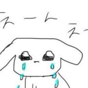 ヒメ日記 2025/10/06 07:39 投稿 みゅらー サティアンまーと