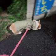 ヒメ日記 2025/10/22 22:59 投稿 みゅらー サティアンまーと