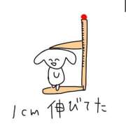 ヒメ日記 2025/11/05 16:09 投稿 みゅらー サティアンまーと