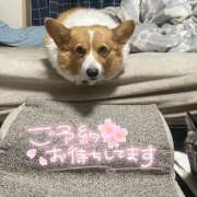 ヒメ日記 2025/11/21 13:29 投稿 みゅらー サティアンまーと