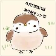 ヒメ日記 2026/04/19 11:20 投稿 みゅらー サティアンまーと