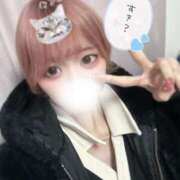 ヒメ日記 2025/02/16 11:49 投稿 るいか サティアンまーと