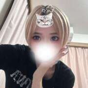 ヒメ日記 2025/03/26 14:59 投稿 るいか サティアンまーと