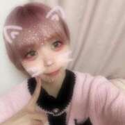 ヒメ日記 2025/04/21 12:19 投稿 るいか サティアンまーと