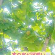 ヒメ日記 2026/07/16 22:48 投稿 麗奈/れいな 五反田アネージュ（ユメオト）