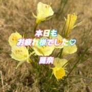 ヒメ日記 2026/10/03 02:38 投稿 麗奈/れいな 五反田アネージュ（ユメオト）