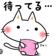 ヒメ日記 2026/07/09 08:30 投稿 ゆうみ 柏人妻花壇