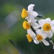 ヒメ日記 2025/05/27 12:31 投稿 ゆな 松本人妻隊