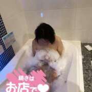 ヒメ日記 2025/05/01 11:31 投稿 つむぎ 木更津人妻花壇