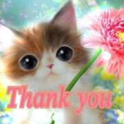 ヒメ日記 2025/09/11 21:55 投稿 つむぎ 木更津人妻花壇