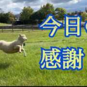 ヒメ日記 2025/09/25 14:17 投稿 つむぎ 木更津人妻花壇