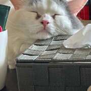 ヒメ日記 2024/12/20 17:37 投稿 八塚（やつか） 丸妻 錦糸町店