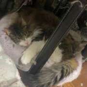 ヒメ日記 2025/01/14 12:01 投稿 八塚（やつか） 丸妻 錦糸町店