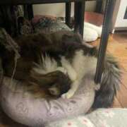 ヒメ日記 2025/01/19 10:01 投稿 八塚（やつか） 丸妻 錦糸町店