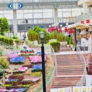 ヒメ日記 2025/02/23 12:36 投稿 菊川ナース 病院