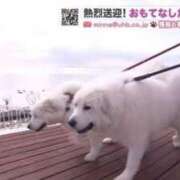 ヒメ日記 2025/03/15 16:16 投稿 菊川ナース 病院