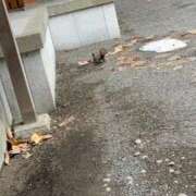 ヒメ日記 2025/04/14 12:36 投稿 菊川ナース 病院