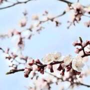 ヒメ日記 2025/04/24 20:56 投稿 菊川ナース 病院