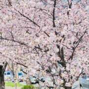 ヒメ日記 2025/04/28 14:56 投稿 菊川ナース 病院