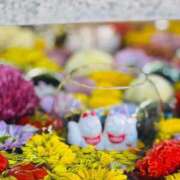 ヒメ日記 2025/10/23 19:16 投稿 菊川ナース 病院