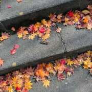 ヒメ日記 2025/10/30 19:46 投稿 菊川ナース 病院