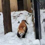 ヒメ日記 2025/11/22 17:56 投稿 菊川ナース 病院