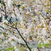 菊川ナース ❀.*ﾟ 病院