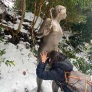 ヒメ日記 2025/03/05 12:45 投稿 レオナ PLATINUM