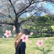 ヒメ日記 2025/04/16 09:43 投稿 レオナ PLATINUM